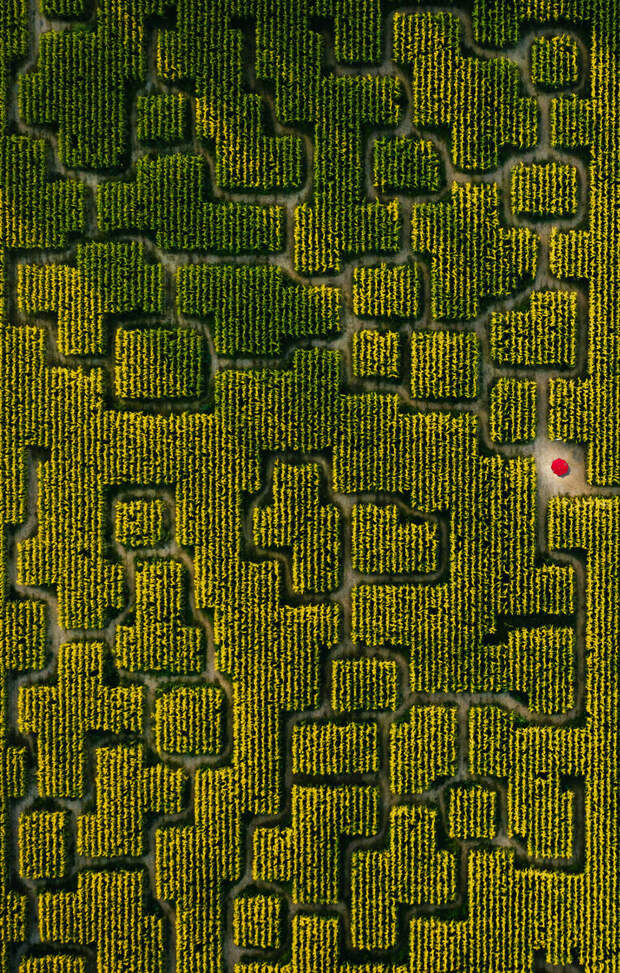 13 фото с конкурса Landscape-2019, после которых вы захотите отправиться в путешествие