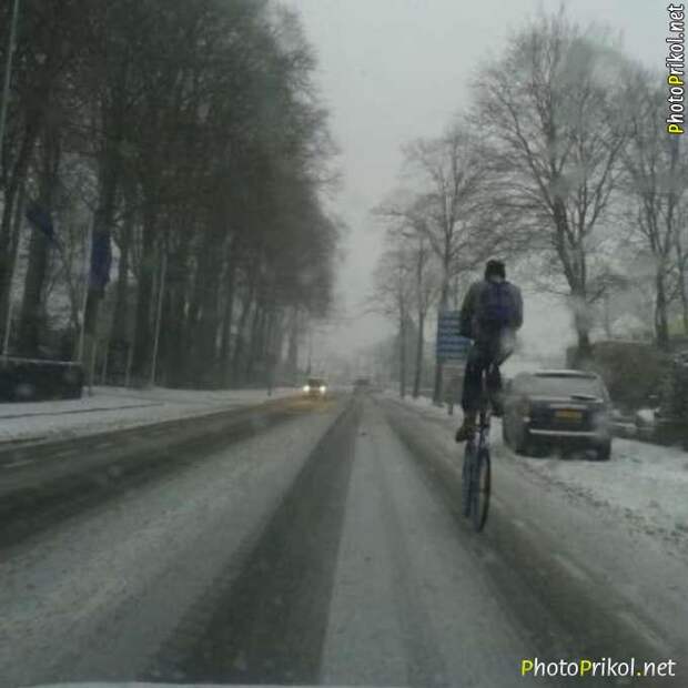 Автоприколы (48 фото) Автоприколы (48 фото)