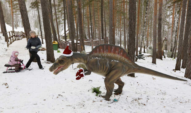 Парк динозавров в зимнем зоопарке “Роев Ручей”