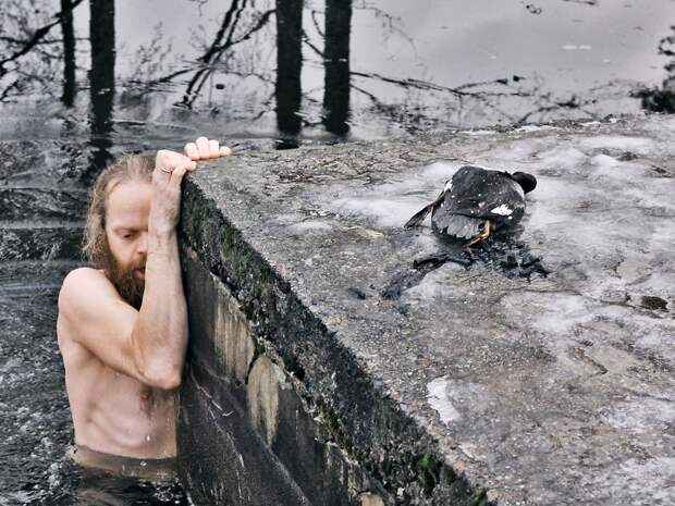 Мужик спас утку, вытащив её из-под льда  поступок, спасение, уважение, утка