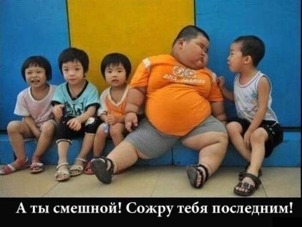 Веселые картинки для хорошего настроения