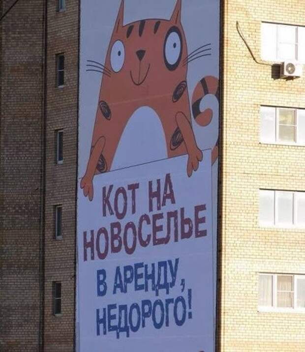 Прикольные надписи и объявления (40 фото)