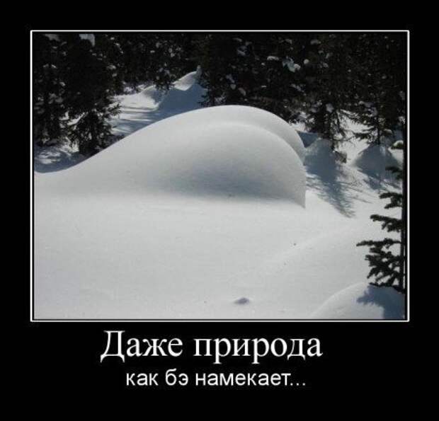 Хочу прикольные демотиваторы.