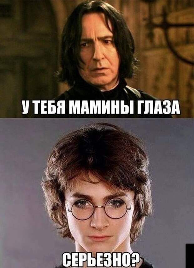 Смешные картинки с подписями катинки, прикол, юмор