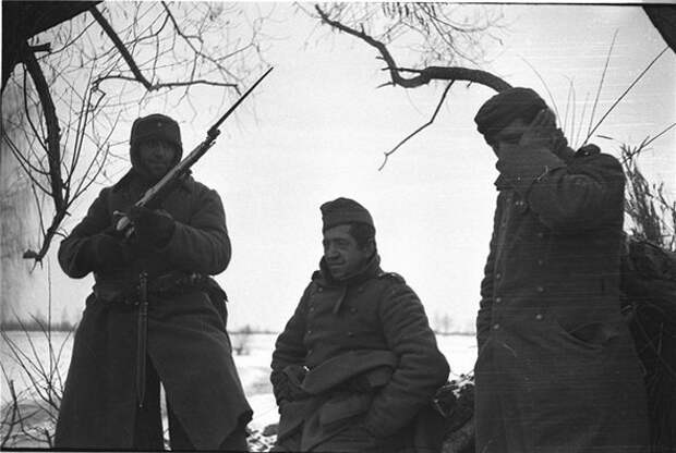 Редкие фотографии Великой Отечественной войны (49 фото)