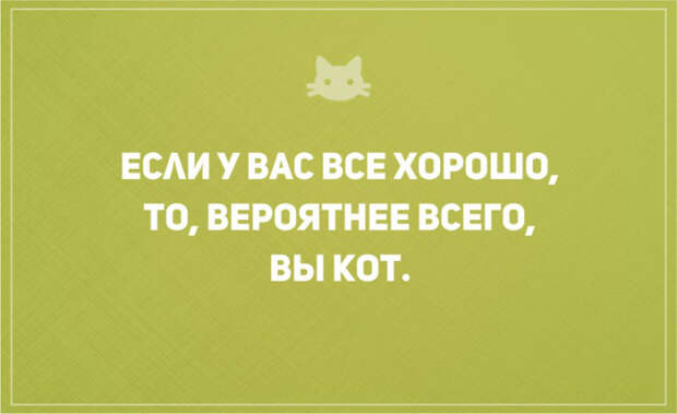 открытки о том, что без кота и жизнь не та (8)