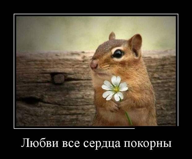 Демотиваторы  демотиваторы, прикол, смех, юмор