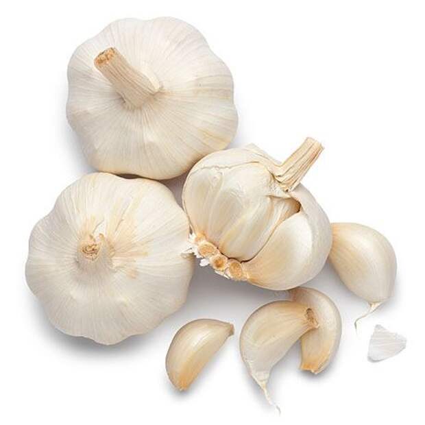 garlic 070108 lg 34656004 Лечение коклюша народными средствами