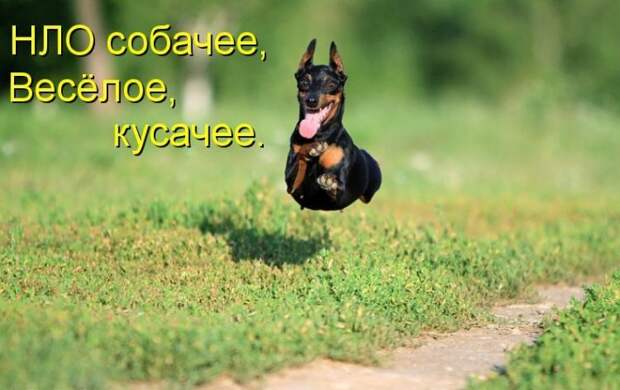Давайте улыбаться вместе! :) №241014