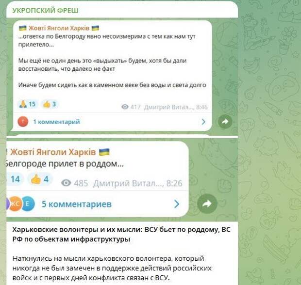 Фото: Скриншот Telegram/@dillfrash
