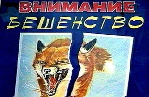 Разговор с умеренным не радикалом Разговор с умеренным не радикалом