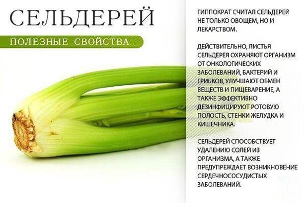 ПОЛЕЗНЫЕ СВОЙСТВА. Лайфхак, ПОЛЕЗНЫЕ СВОЙСТВА, факты