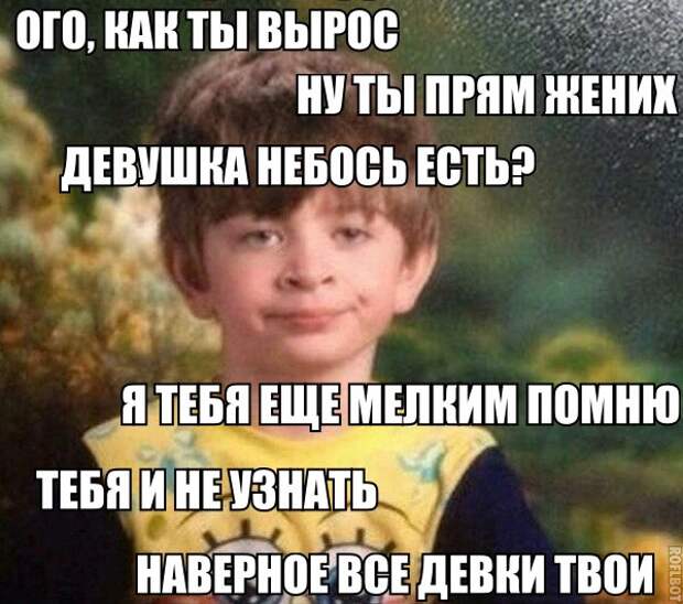 Смешные картинки с подписями катинки, прикол, юмор