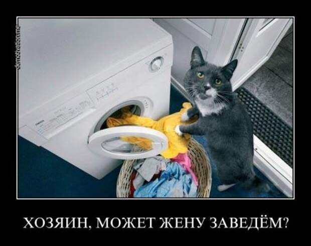 Демотиваторы, они прикольные, других и не держим.