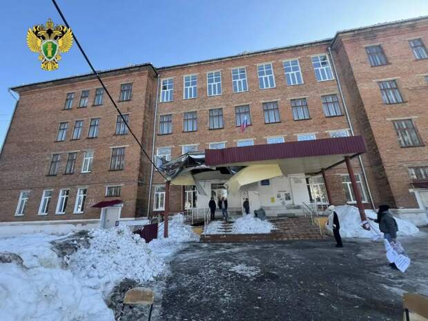 В Новомосковске из-за обрушения снега с крыши школы временно ввели дистанционку