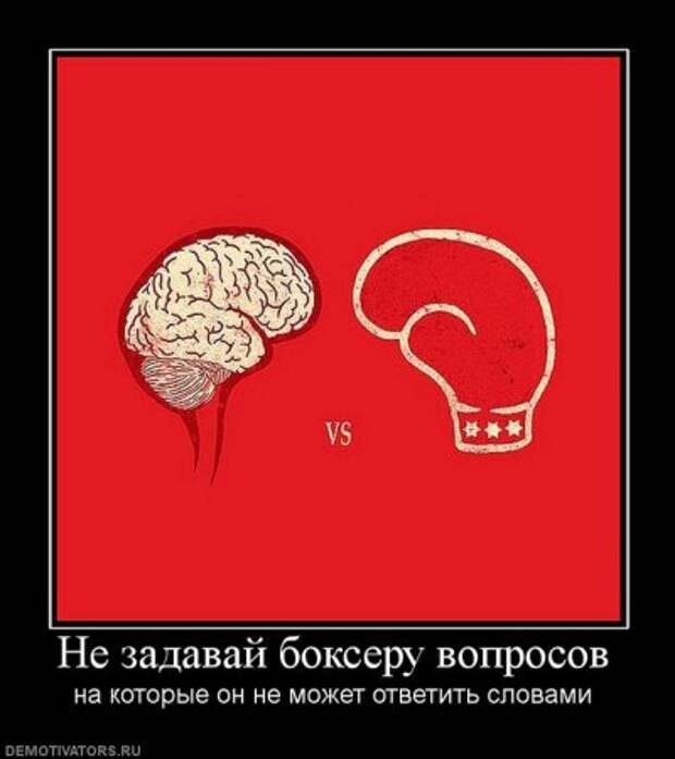 Демотиваторы смешные прямо тут и сейчас!