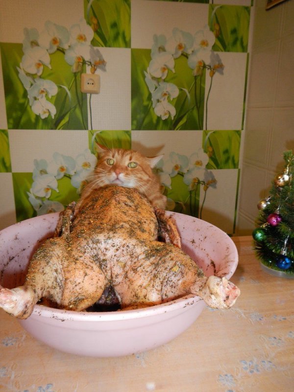 Картиночки