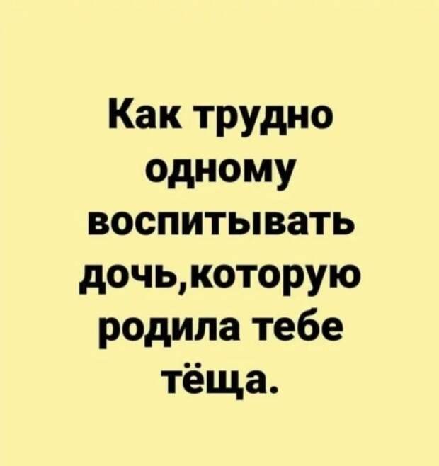 Приколы про семейные отношения