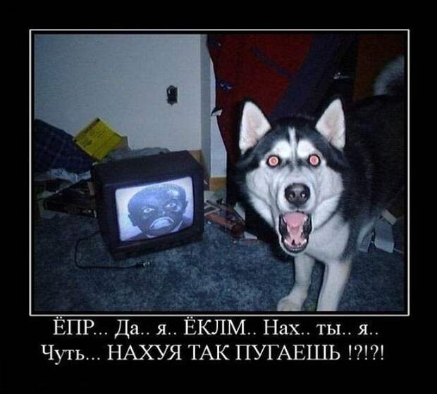 Всяко - разно 13 ))) Всяко - разно 13 )))