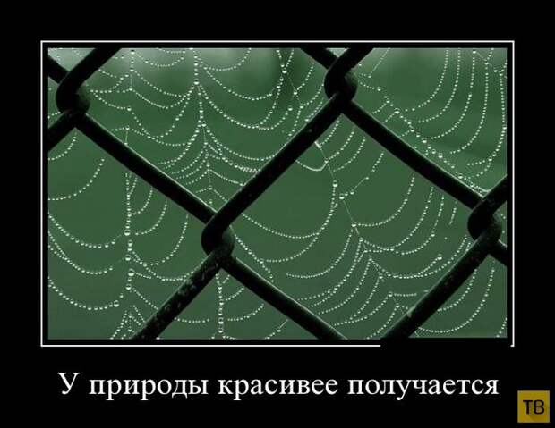 Подборка демотиваторов 30. 10. 2014 (32 фото)