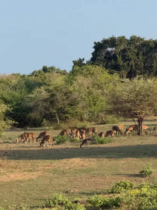 Фото Вани Дмитриенко