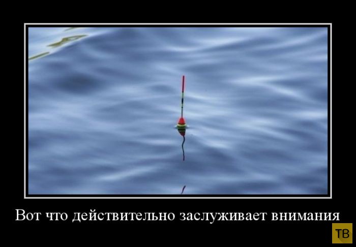 Демотиваторы от 04.03.2015 (30 фото)