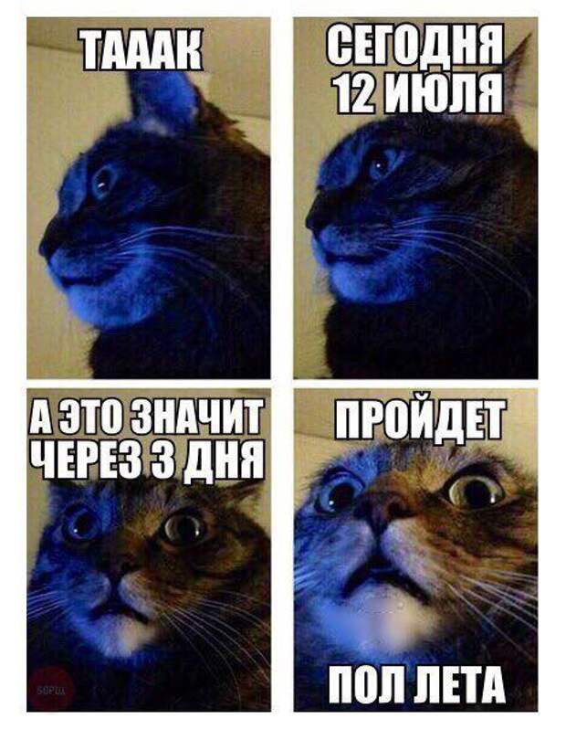 Прикольные картинки против понедельника! (40 шт)