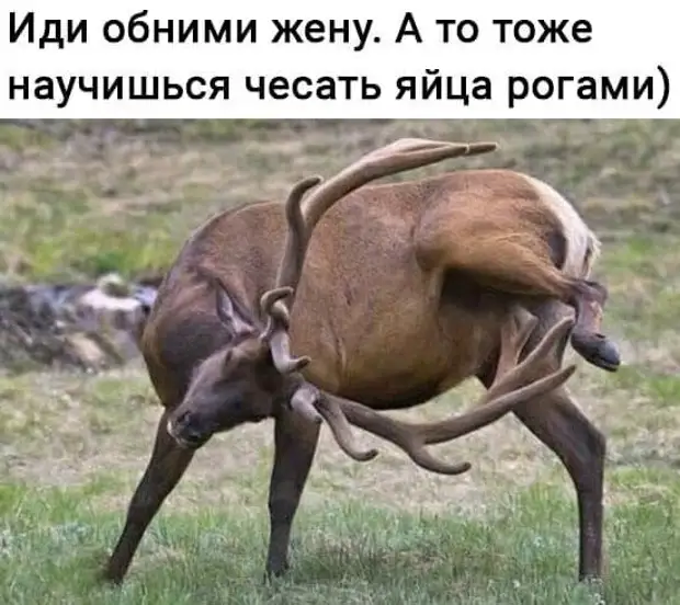 - На всех не напасешься! - сказал пастух и бросил свою работу - На всех не напасешься! - сказал пастух и бросил свою работу Бабушка, чтобы, говорит, Вовочка, Шапочка, Красная, Учительница, только, сказала, серьезно, очень, Мухаммед, Марокко, спрашивает, более, Когда, Алжире, рассказать, своей, иностранцев