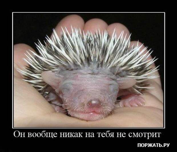 Прикольные демотиваторы (часть 2)