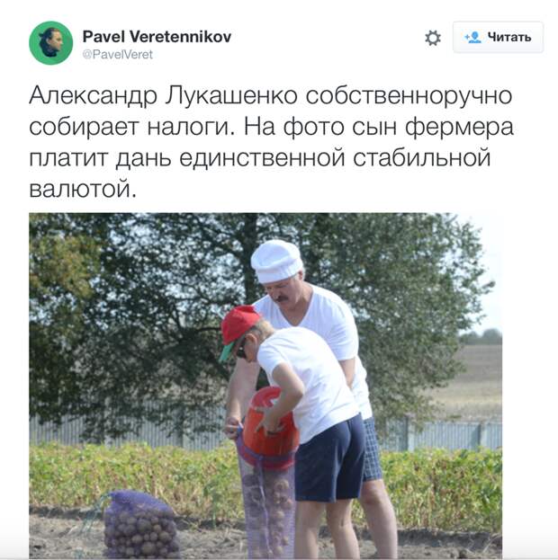 4. картошка, лукашенко