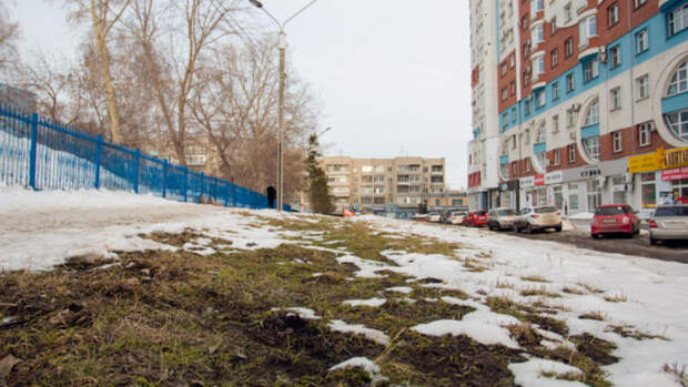 Тепло до +20 градусов ворвется в Алтайский край в первые выходные апреля