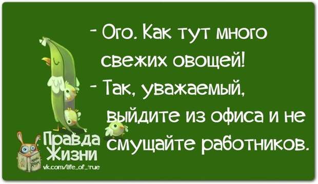 Веселые фразочки для хорошего настроения Веселые фразочки для хорошего настроения