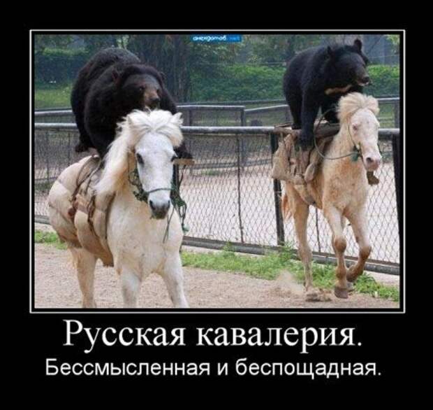 Демотиваторы про русских, наши приколы!