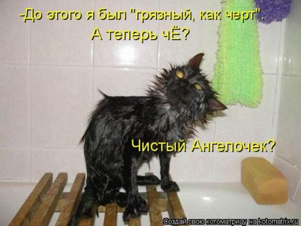 Еженедельная котоматрица (33 фото)