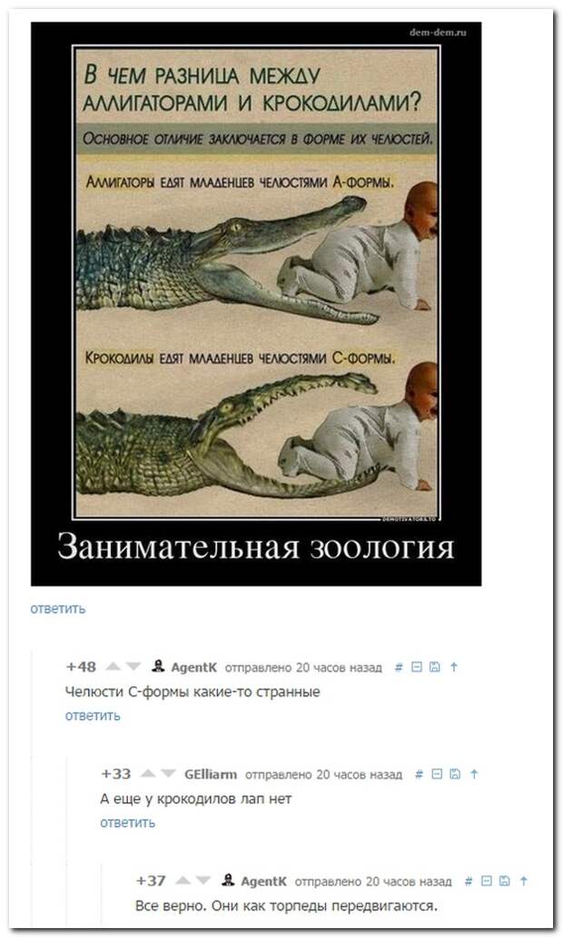 Смешные комментарии из социальных сетей 04.10.14 комментарии, прикол, соцсети, юмор