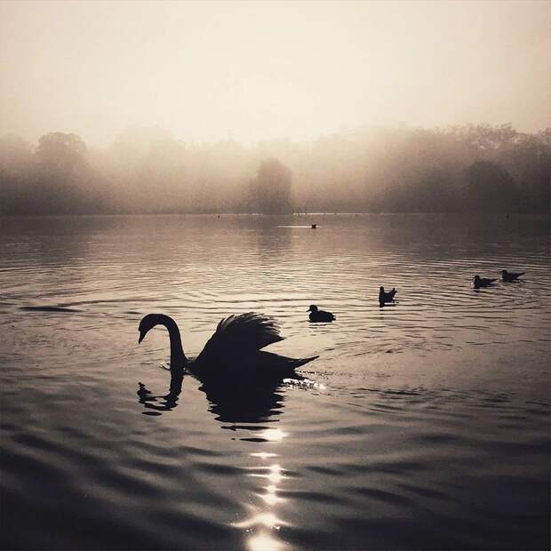 Победители Mobile Photography Awards 2015