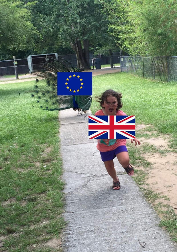 Uk And Eu Flags