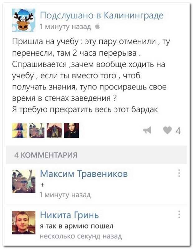 Смешные комментарии из социальных сетей (23 фото)