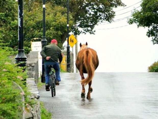 Доза позитива в фото-приколах (42 шт)