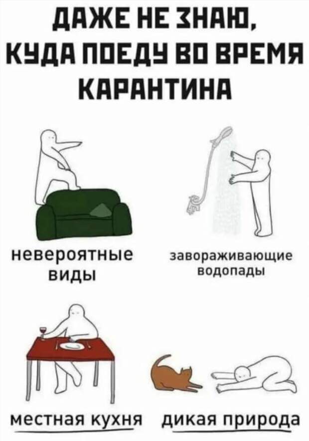 Смешные комментарии. Подборка chert-poberi-kom-chert-poberi-kom-35400623082020-3 картинка chert-poberi-kom-35400623082020-3
