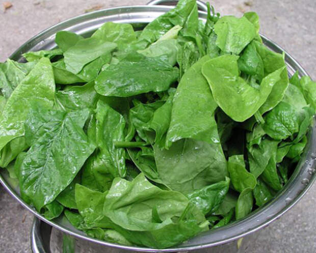Spinach_leaves