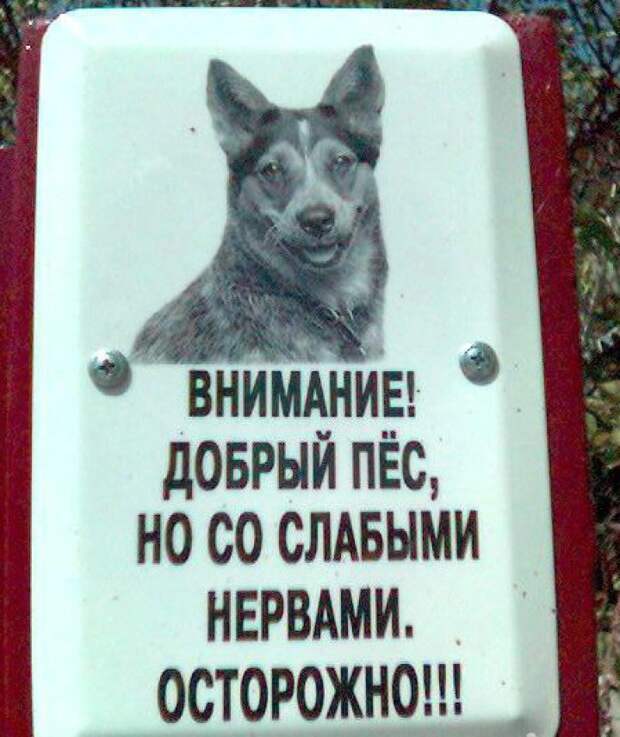 забавные вывески и предупреждения на заборах