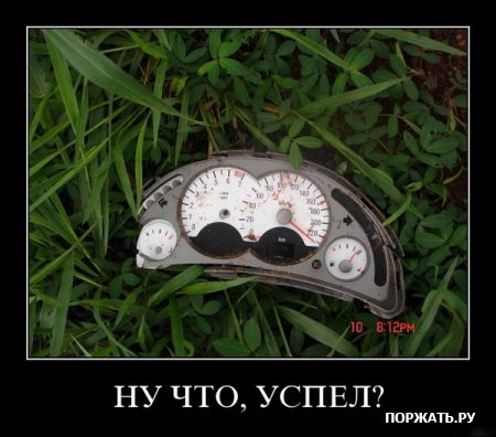 демотиваторы приколы