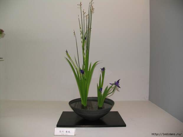 035 (700x525, 194Kb)