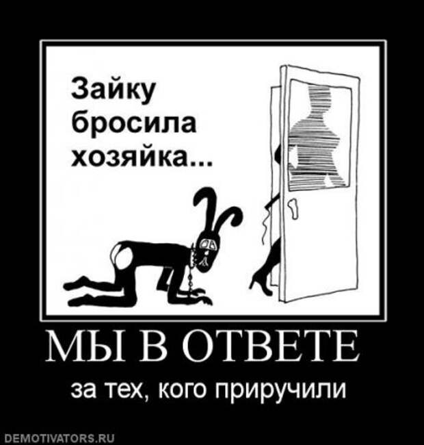 Демотиваторы смешные и очень прикольные смотрим тут!