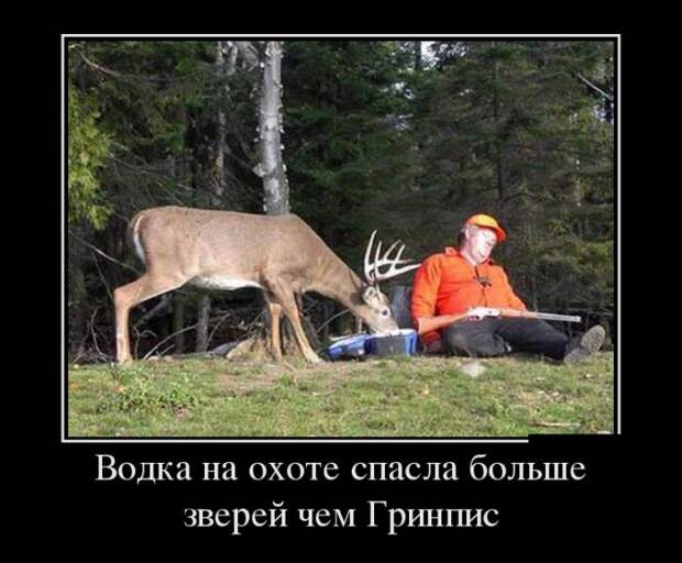 Демотиваторы демотиваторы, юмор