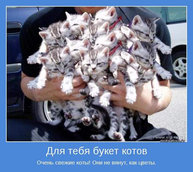 Веселые мотиваторы для улыбки и позитива