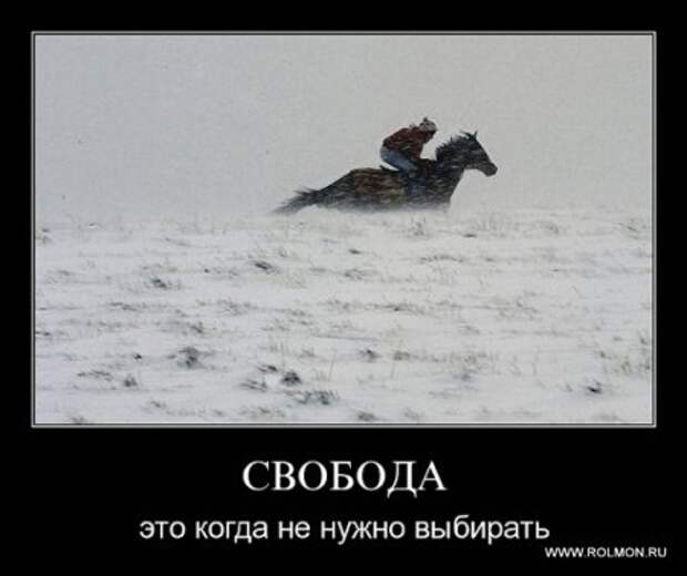 Серьезные и умные демотиваторы.