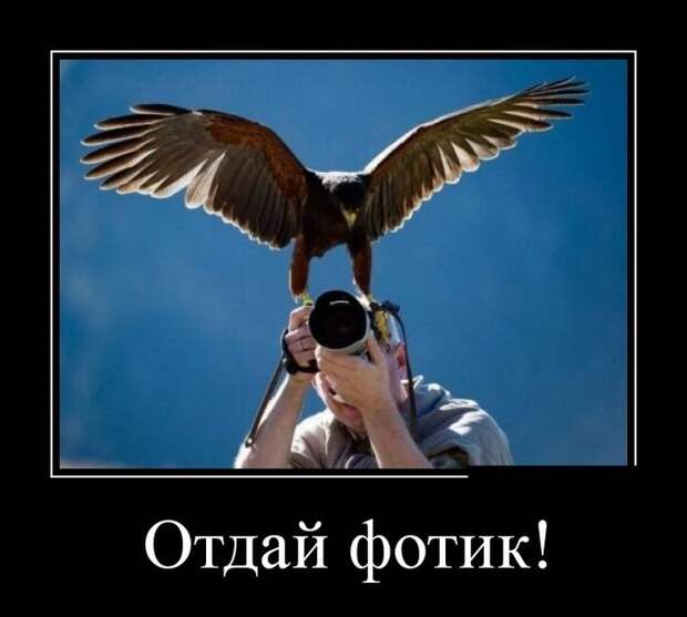 Демотиваторы Демотиваторы демотиваторы, прикол, смех, юмор