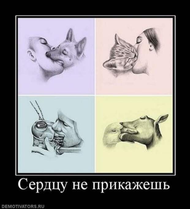 Классные картинки, собраные в демотиваторы!